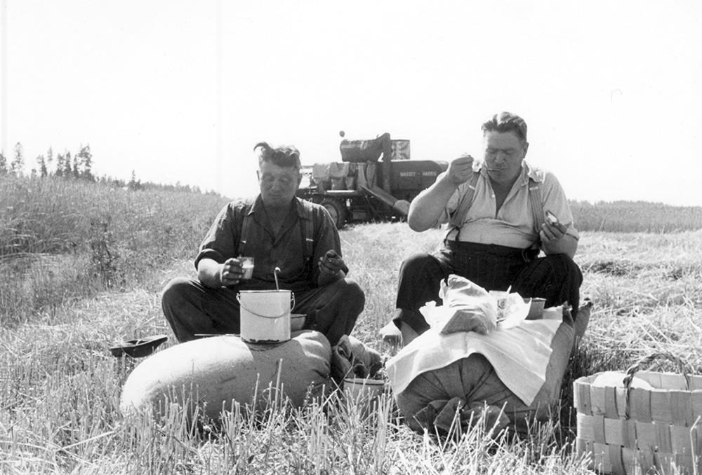 Suomen maatalousmuseo Sarka