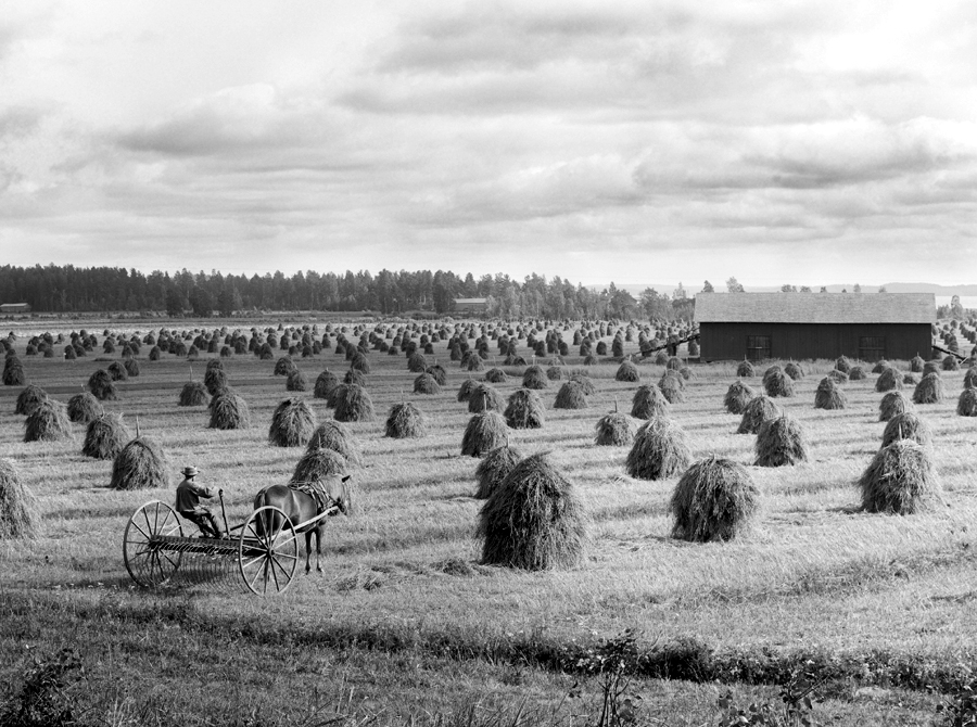 Suomen maatalousmuseo Sarka